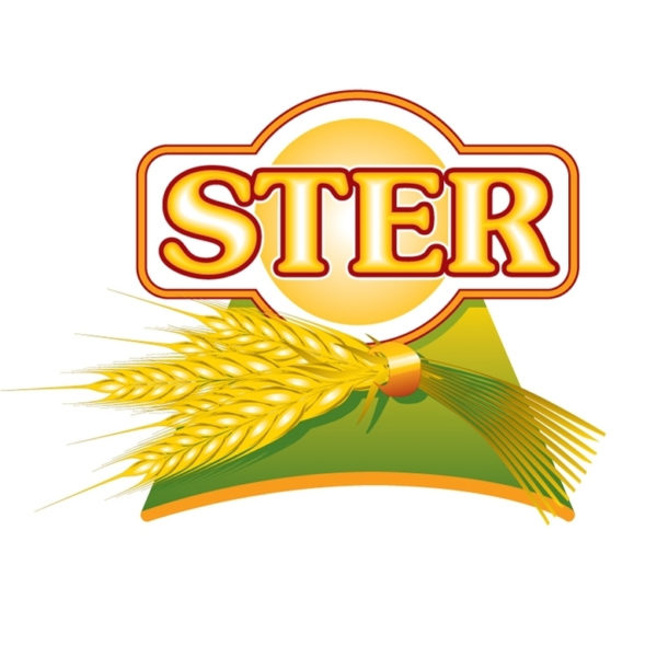 logo STER 1