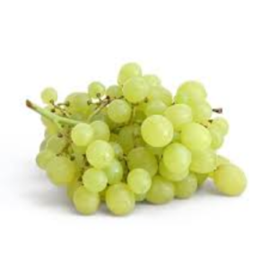 uva bianca aledo 111